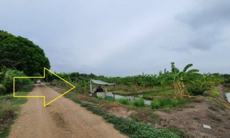 ขายที่ดิน - ขายที่ดินหนองเสือ คลอง 9 ขนาด 5ไร่ พร้อมร่องสวนใกล้แหล่งน้ำ เหมาะปลูกบ้าน ทำเกษตรพอเพียง