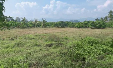 ขายที่ดิน - ขายที่ดินติดคลองชลประทานน้ำบ่อหลวง สันป่าตอง ราคาถูก