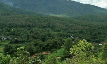 ขายที่ดิน - ขายที่ดินบ้านปง ห่างถนนหลักเพียง 1 km วิวดอย