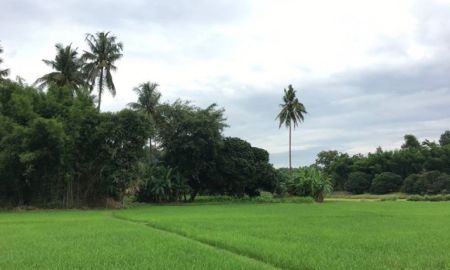 ขายที่ดิน - Land For Sale in Maerim Chiangmai ที่ดิน 2 แปลง แม่ริม เชียงใหม่