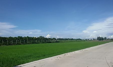 ขายที่ดิน - ขายที่ดินบึงคำพร้อย 2 ไร่ครึ่ง ใกล้ดูโฮมและสวนน้ำไทยเวคพาร์ค ลำลูกกา คลอง 6 พิเศษ ยกแปลง 13 ล้าน