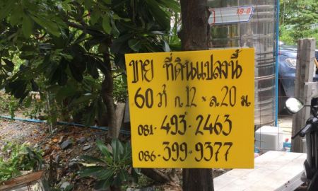 ขายที่ดิน - ขายที่ดินเปล่า ซ.สะแกงาม 31 เนื้อที่ 60 ตร.ว หน้ากว้าง 12 เมตร ลึก 20 เมตร ที่สวย ราคาพิเศษ