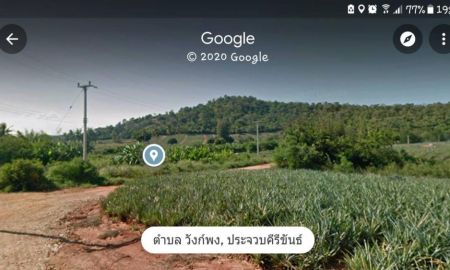 ขายที่ดิน - ขายที่ดิน ทำเลวิวเขาเนื้อที่ 9-1-66 ไร่ ต.วังก์พง อ.ปราณบุรี จ.ประจวบคีรีขันธ์