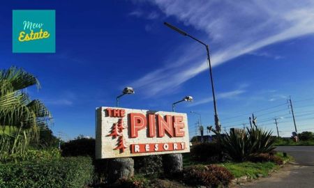 ขายที่ดิน - ขายถูก ที่ดินสวย 66 วา โครงการThe Pine หมู่บ้านศรีปทุม สามโคก มิว 