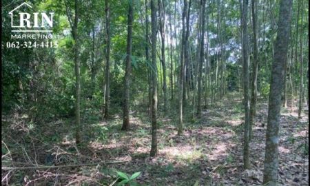 ขายที่ดิน - ที่ดินป่ายาง บ้านค่าย ระยอง ราคาขาย 800,000 บาท ค่าโอน : เจ้าของออกให้