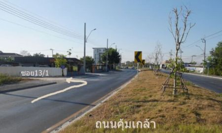 ขายที่ดิน - ขายที่ดิน ถนนคุ้มเกล้า ถมแล้ว 303 ตรว. หน้ากว้าง 52 เมตร