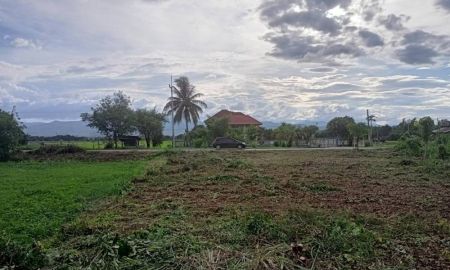 ขายที่ดิน - ที่ดินเปล่าติดริมทุ่ง ถนนเรียบคลองชลประทาน ค้าขายได้ ทำบ้านดี