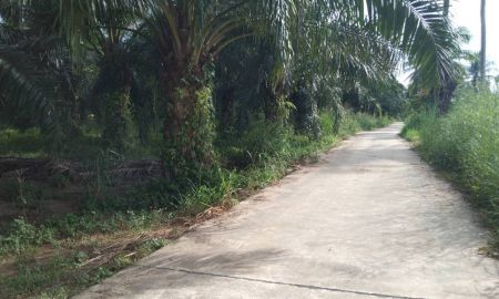ขายที่ดิน - ขายสวนปาล์มบ่อทอง 18 ไร่ ติดถนนคอนกรีต ใกล้ถนนเส้น 3245 - 4 กม. จ. ชลบุรี