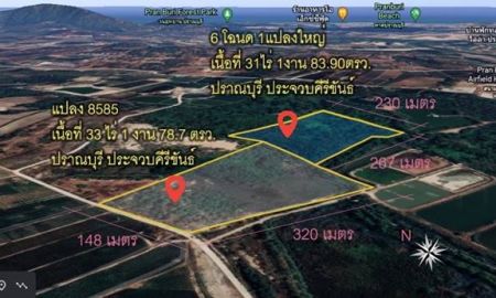 ขายที่ดิน - ขาย ที่ดินเปล่า 64-3-62.6 ไร่ ต.วังก์พง อ.ปราณบุรี