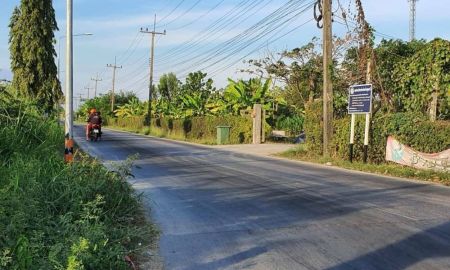 ขายที่ดิน - ขายที่ดินลำลูกกา คลอง 12 เข้าซอยเลียบคลองสิบสองฝั่งตะวันตก