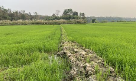 ขายที่ดิน - ขายที่ดิน(ที่นาและที่สร้างบ้าน)ปรับถมดนบางส่วนแล้ว โซนน้ำตกขุนกรณ์ แบ่งหรือทั้งหมดได้ ใกล้แหล่งท่องเที่ยว รีสอร์ต