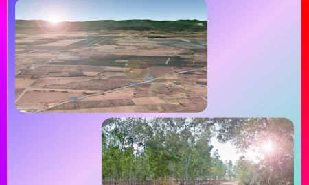 ขายที่ดิน - ขายที่ดินผังพื้นที่สีม่วงเกือบ 50 ไร่ สร้างโรงงานได้ ห้วยกระเจา กาญจนบุรี