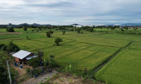 ขายที่ดิน - ขายที่นาศรีราชา 4 ไร่ หลังเครือสหพัฒน์ ติดถ.คอนกรีต ใกล้ท่าเรือแหลมฉบัง - 8 กม. จ.ชลบุรี