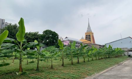 ขายที่ดิน - ขายที่ดินเปล่า ถมแล้ว 363 ตร.ว ในซอยสุขุมวิท 101/1