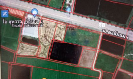 ขายที่ดิน - ขายที่ดินเกษตร 5 - 3 - 31.4 ไร่ ตำบลจรเข้สามพัน อำเภออู่ทอง สุพรรณบุรี