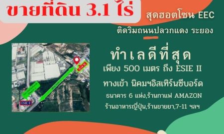 ขายที่ดิน - ขายที่ดิน 3.1 ไร่ สุดฮอตโซน EEC. ริมถนนปลวกแดง ระยอง