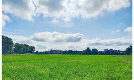 ขายที่ดิน - ขายที่ดินสวย ติดถนน 2 ด้าน 13-2-50 ไร่ ใกล้บายพาสฝั่งตะวันออก ตรงข้ามสนามบินนานาชาติเชียงราย