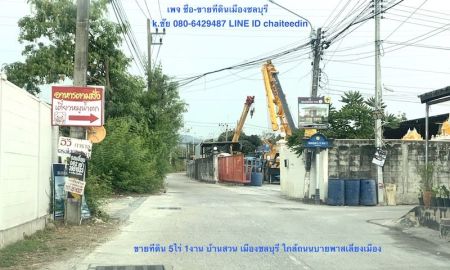 ขายที่ดิน - ขายที่ดินบ้านสวน เมืองชลบุรี เนื้อที่ 5ไร่ 1งาน ติดทางสาธารณะ 2ด้าน ใกล้เซ็นทรัลชลบุรี