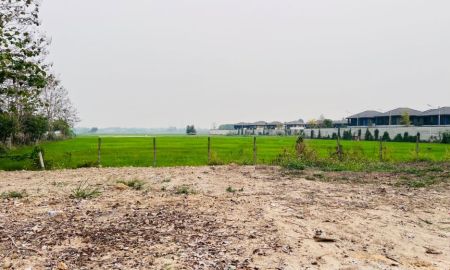 ขายที่ดิน - ขายที่ดิน 100 ตรว. เขตป่าข่อยเหนือ ต.สันผีเสื้อ อ.เมืองเชียงใหม่ จ.เชียงใหม่