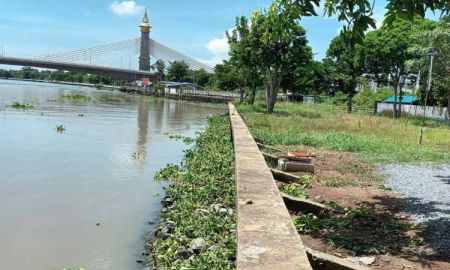 ขายที่ดิน - ที่ดิน6ไร่ แถมคฤหาส ริมแม่น้ำเจ้าพระยา สะพานเจษฎาบดินทร์