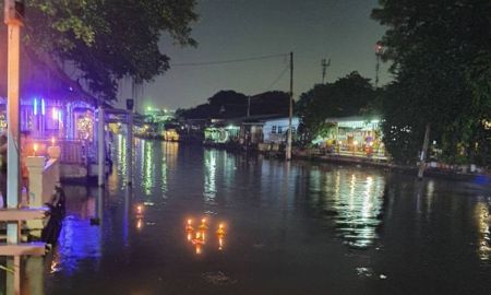 ขายที่ดิน - ที่ดิน ทำเลทอง 5แปลง สวยๆ ราคาถูก พร้อมโอน คุยง่าย