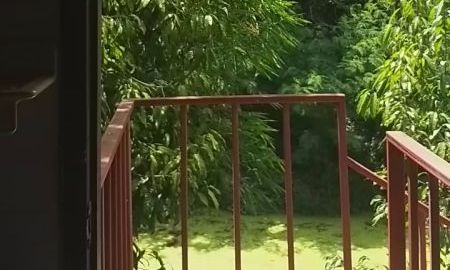 ขายที่ดิน - ขายที่ดิน ริมถนน ติดแม่น้ำเหมาะแก่การ ประกอบกิจการร้านค้า เปิดร้านอาหารริมน้ำ ทำท่าจอดเรือเ