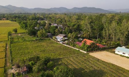 ขายบ้าน - ขายบ้านสวนพร้อมที่ดิน 273 ตารางวา บ้านศรีวังธาร ป่าไผ่ สันทราย ห่างมหาวิทยาลัยแม่โจ้ประมาณ 5 กม.