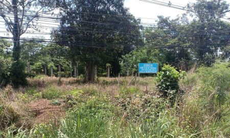 ขายที่ดิน - ขายที่ดินเปล่าเนื้อที่ดิน 6 ไร่ 2 งาน 31.7 ตารางวา ที่ดินเปล่าถมแล้วเหมาะเเก่การลงทุน ติดถนนฉะเชิงเทรา-กบินทร์บุรี