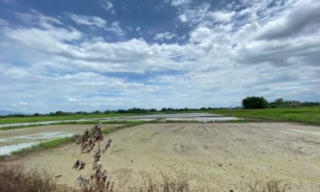 ขายที่ดิน - ขายถูกที่นาเกือบ 5 ไร่ ขายยกแปลงเพียง 1.1 ล้านพร้อมโอน