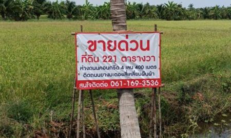 ขายที่ดิน - ขายที่ดิน ราคาประเมิน 221 ตารางวา ไทรน้อย นนทบุรี