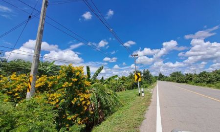 ขายที่ดิน - ติดทางหลวงติดแม่น้ำปิง เจ้าของขายเองสวนมะม่วงสวนลำไย บ้านหนองผ้าขาว ต.น้ำดิบ อ.ป่าซาง จ.ลำพูน