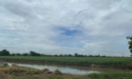 ขายที่ดิน - ขายด่วน ที่ดินเปล่าแปลงใหญ่148 ไร่ ติดถนนเรียบคลอง13สายกลาง ต.บึงคอไห อ.ลำลูกกา ปทุมธานี