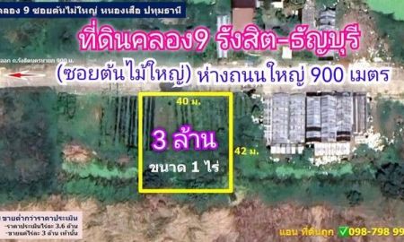 ขายที่ดิน - ที่ดินทำเลทอง ขายต่ำกว่าราคาประเมิน คลอง9 ธัญบุรี (ซ.ต้นไม้ใหญ่)