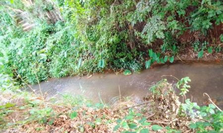 ขายที่ดิน - ขายที่สวนลำในบ้านแมสันป่าตองมีลำน้ำล้อมรอบพร้อมโอน