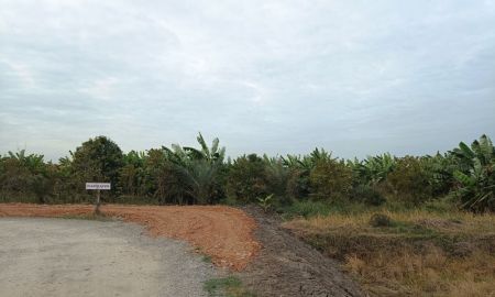 ขายที่ดิน - ขายที่ดินนนทบุรี ขายที่ดินไทรน้อย 3ไร่ จากถนน346บางเลน-ปทุมธานี 1.6 กม. ที่ดินสวนเกษตร ติดถนน2ด้าน
