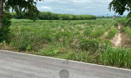 ขายที่ดิน - ขายที่ดินสวยราคาถูก ในตำบลไตรตรึงษ์ อำเภอเมืองกำแพงเพชร ติดถนนสองด้าน ติดทางสาธารณะ