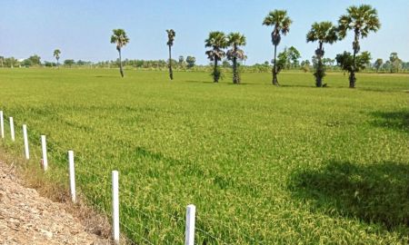 ขายที่ดิน - ขายที่ดินเปล่า 5-1-68 ไร่ ติดถนนศิริรัฐยา(1039) ต.วังตะโก อ.เมืองเพชรบุรี ราคา 5,500,000 บาท