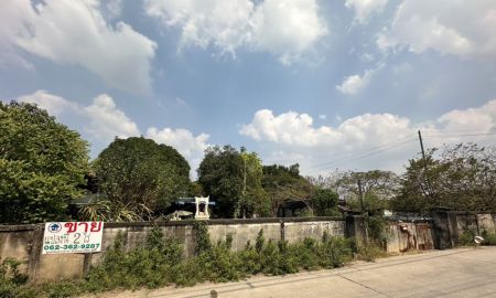 ขายที่ดิน - ขายที่ดิน 2 ไร่ ติดถนนสาธารณะ 3 ด้าน ซอยพระแม่การุณย์ ตำบลบ้านใหม่ อำเภอปากเกร็ด จังหวัดนนทบุรี ที่ดินแปลงสวย ทั้งซอยติวานนท์-ปากเกร็ด 56