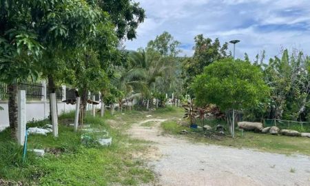 ขายที่ดิน - ขายบ้านสวนพร้อมที่ดินติดเขาช่องมะเฟืองผ่อนได้เนื้อที่ 2 ไร่ ซ.หนองรีบ้านบึง20ติดถ.3ด้านใกล้ถนน344-3กม.เมืองชลบุรี