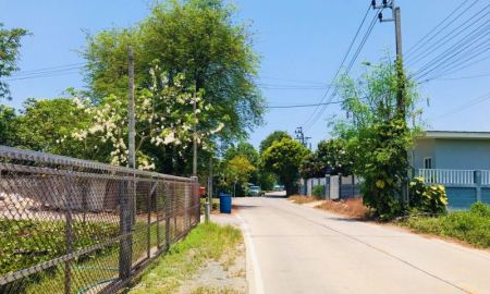 ขายที่ดิน - ขายด่วน ที่ดินบางใหญ่ 9 ไร่ หน้ากว้างติดถนนคอนกรีต หลังติดคลอง บรรยากาศธรรมชาติใกล้เมือง เหมาะทำหมู่บ้าน ศูนย์สุขภาพ ค้าขายพันธ์ุไม้