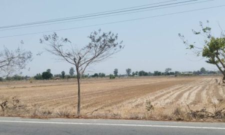 ขายที่ดิน - ที่ดินสุพรรณบุรี หนองหญ้าไซติดถนนลาดยาง 9ไร่ 3 งาน