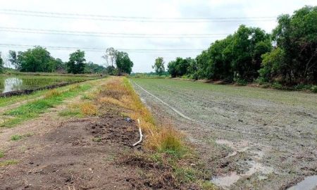 ขายที่ดิน - ขายที่ดิน คลอง 12 หนองเสือ 200 ตรว บรรยากาศ ทำเล เหมาะ ปลูกบ้าน ทำการเกษตรพอเพียง สามารถซื้อเก็บไว้ในอนาคตได้ค่ะ