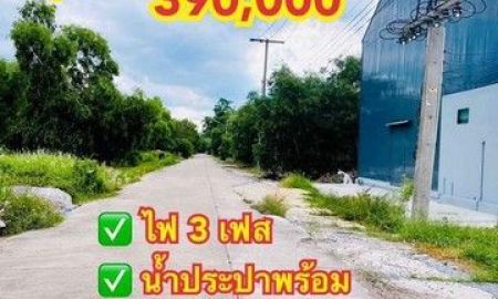 ขายที่ดิน - ขายที่ดินคลอง11 หนองเสือ ปทุมธานี น้ำไฟพร้อมหมด ติดถนนคอนกรีต 8 เมตร ขนาด 63 ตรว.