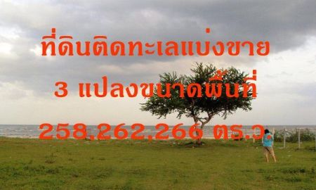 ขายที่ดิน - ขายที่ดินติกทะเล 200 ตารางวา หน้าติดหาดส่วนตัว กุยบุรี ประจวบฯ