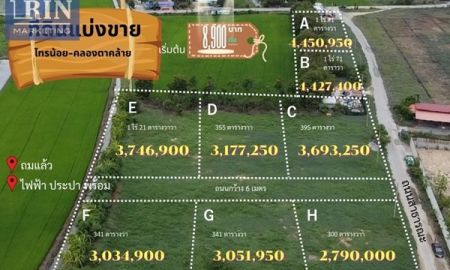 ขายที่ดิน - ที่ดินแบ่งขายราคาสุดคุ้ม ที่วัดคลองตาคล้าย ไทรน้อย นนทบุรี #ที่ดินถมแล้ว #สร้างโกดัง #บ้านสวนไม่ไกลกรุงเทพ