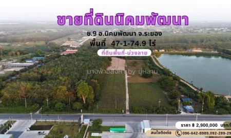 ขายที่ดิน - ขายที่ดิน ซอย 9 -นิคมพัฒนา-ระยอง ติดถนน พื้นที่ม่วงลาย