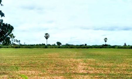 ขายที่ดิน - ที่ดินแปลงสวย ติดถนนลาดยาง มีไฟฟ้า อ.ตรอน อุตรดิตถ์