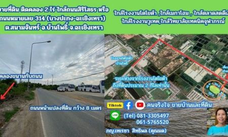 ขายที่ดิน - ขายที่ดิน ติดคลอง 2 ไร่ ต.สนามจันทร์ อ.บ้านโพธิ์ จ.ฉะเชิงเทรา