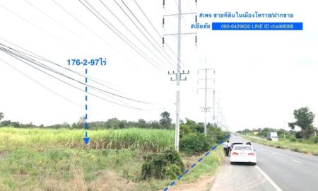 ขายที่ดิน - ขายที่ดินติดถนนหลัก ใกล้ด่านมอเตอร์เวย์ สีคิ้ว โคราช เนื้อที่ 176.75ไร่