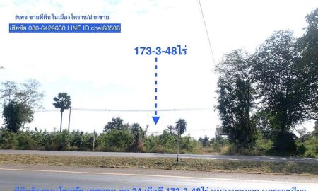 ขายที่ดิน - ขายที่ดินติดถนน 24 โชคชัย-เดชอุดม หนองบุญมาก 173ไร่